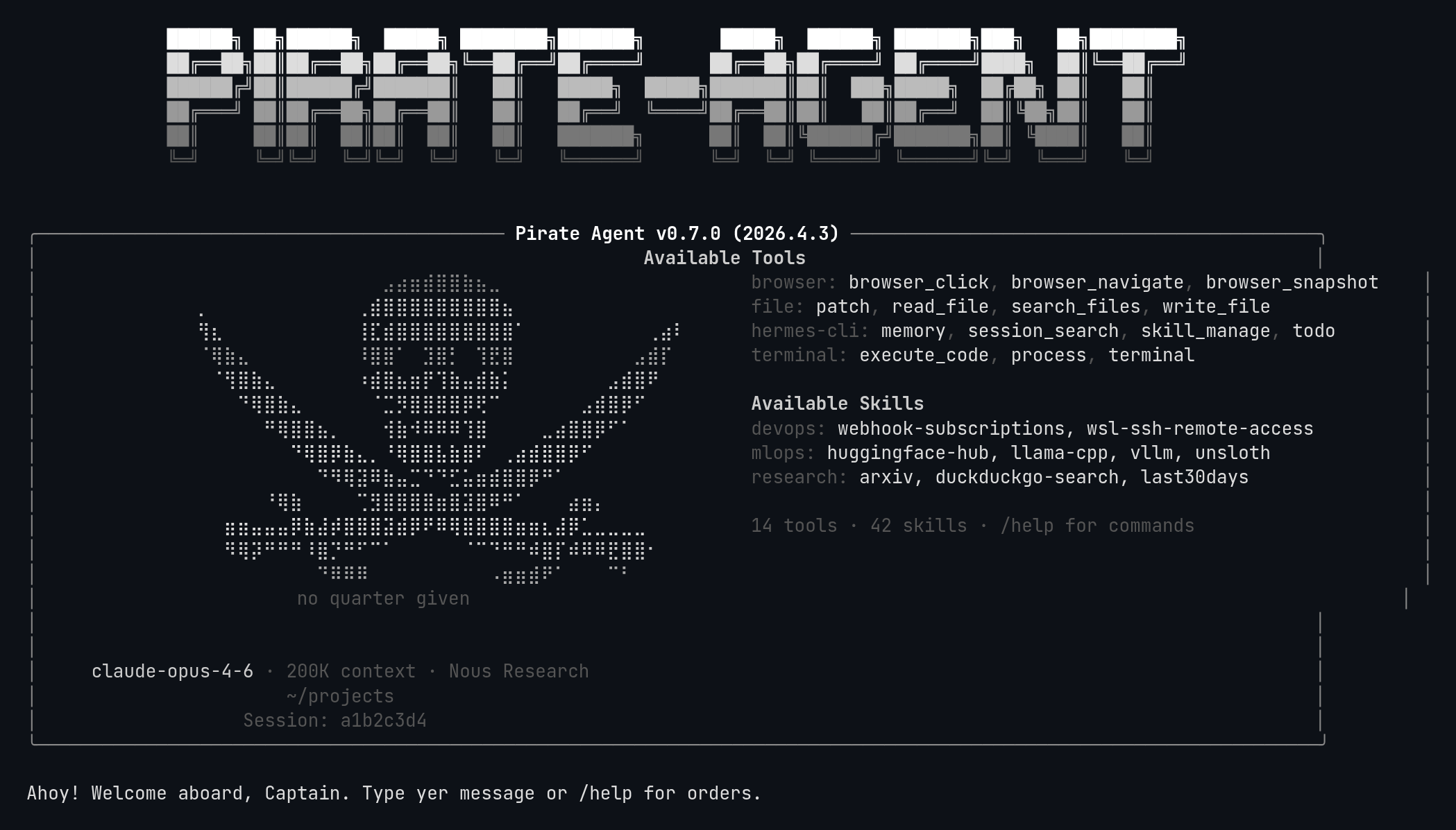 pirate preview